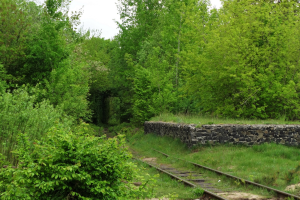 Тунель кохання